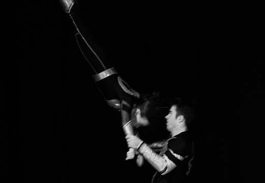DSC2495